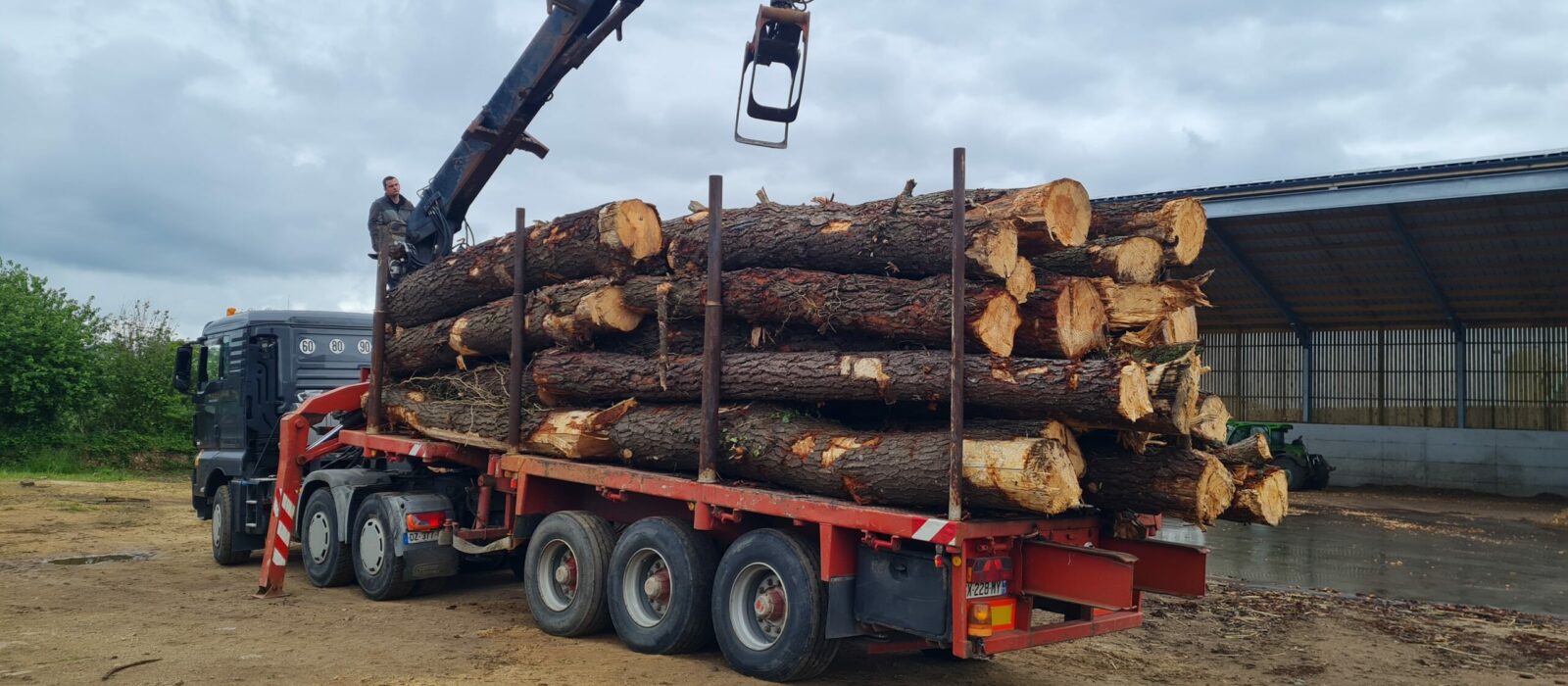 déchargement de grumes Man et grumière Billaud