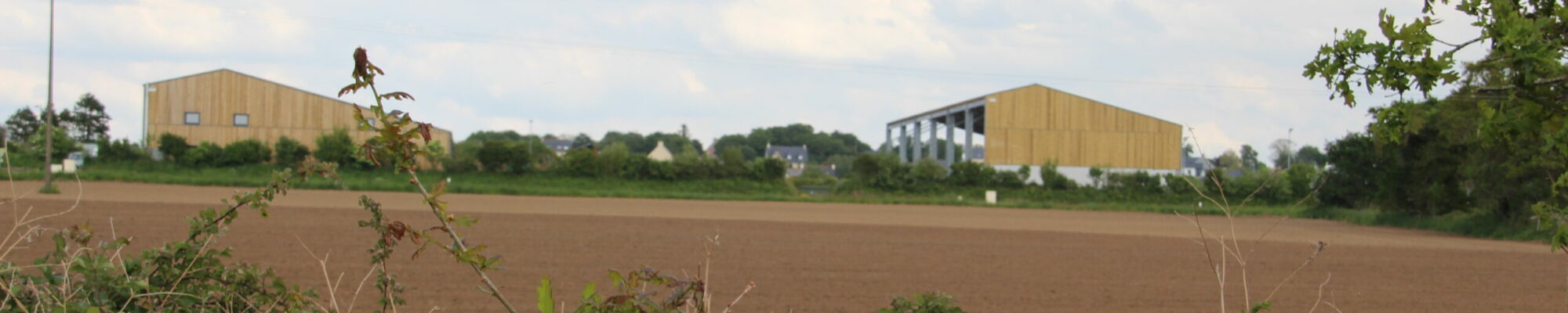 IMG_7255 IMG_7255
